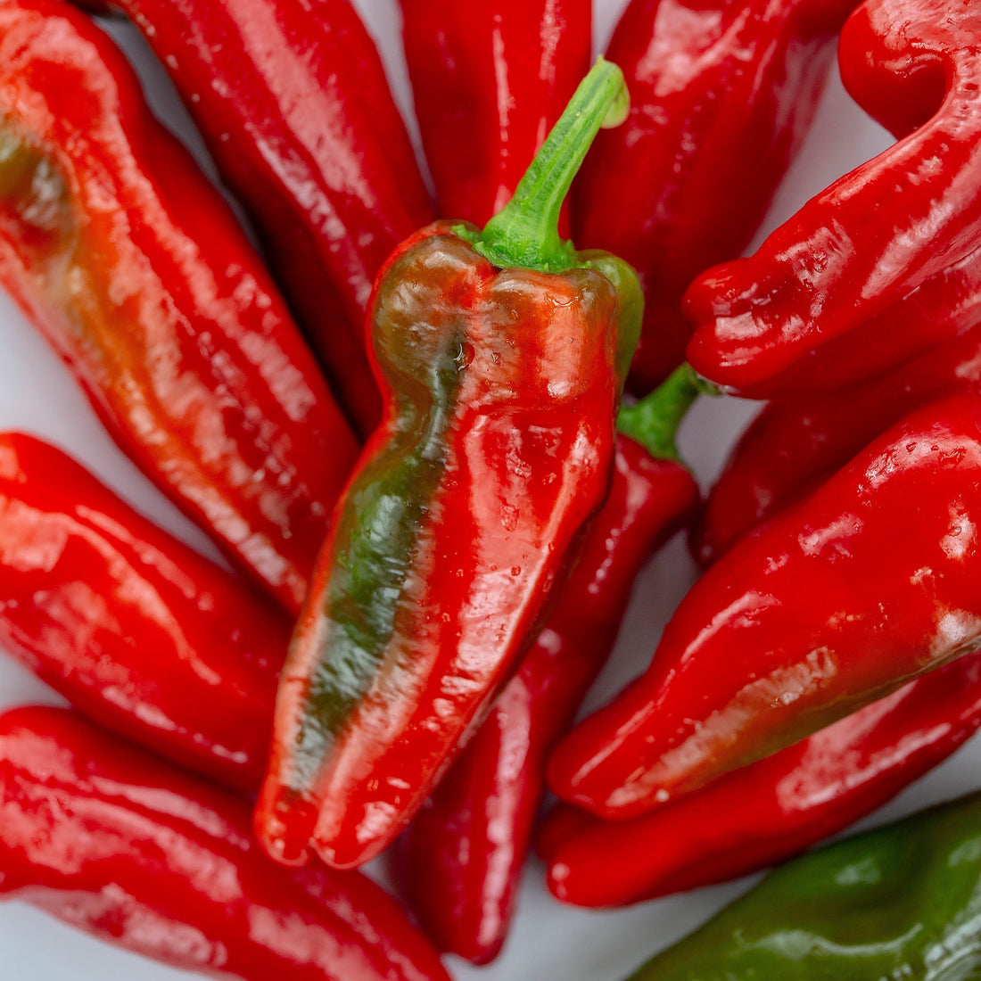 Ardeiul săptămânii: Pimiento de Padrón