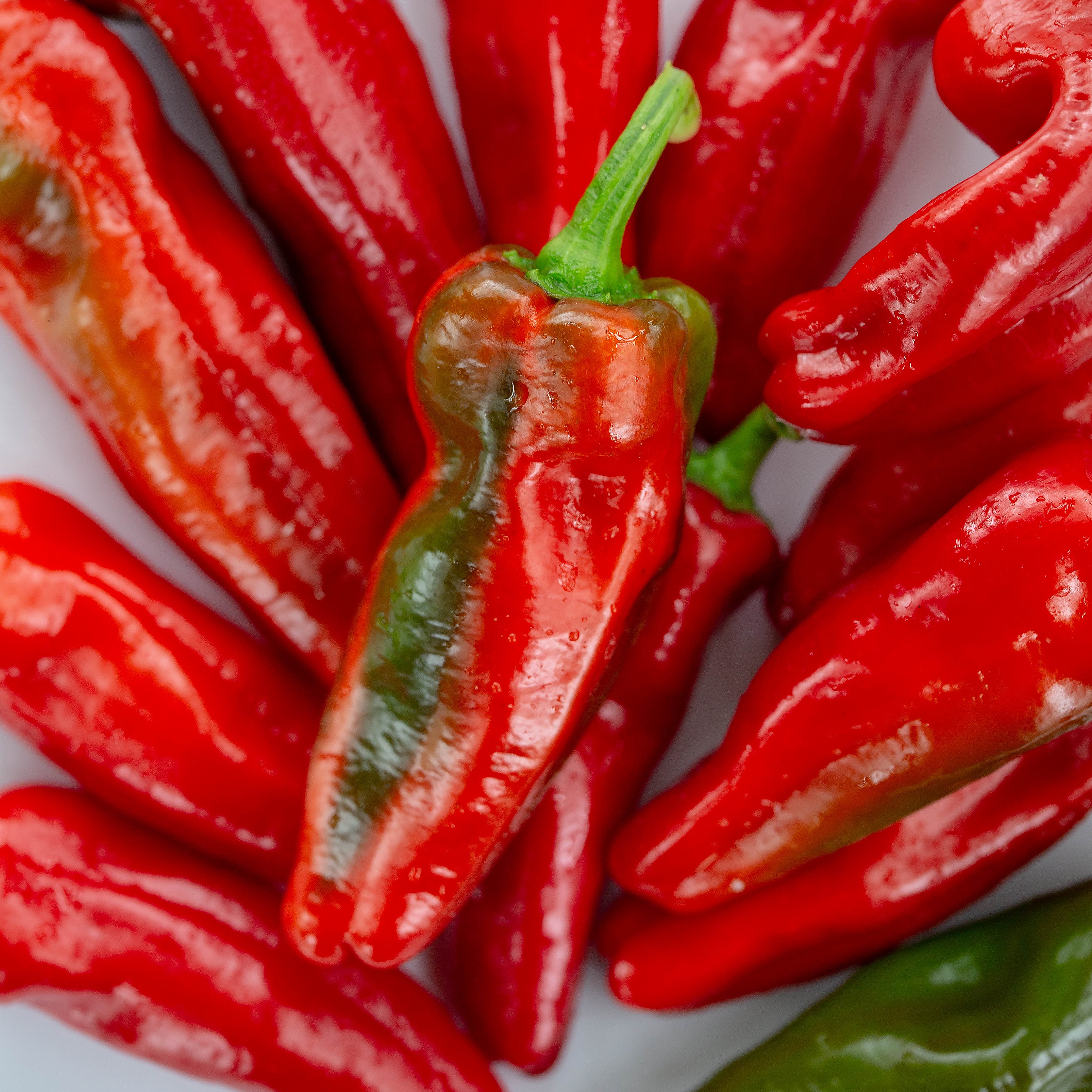 Ardei - Pimiento Padrón