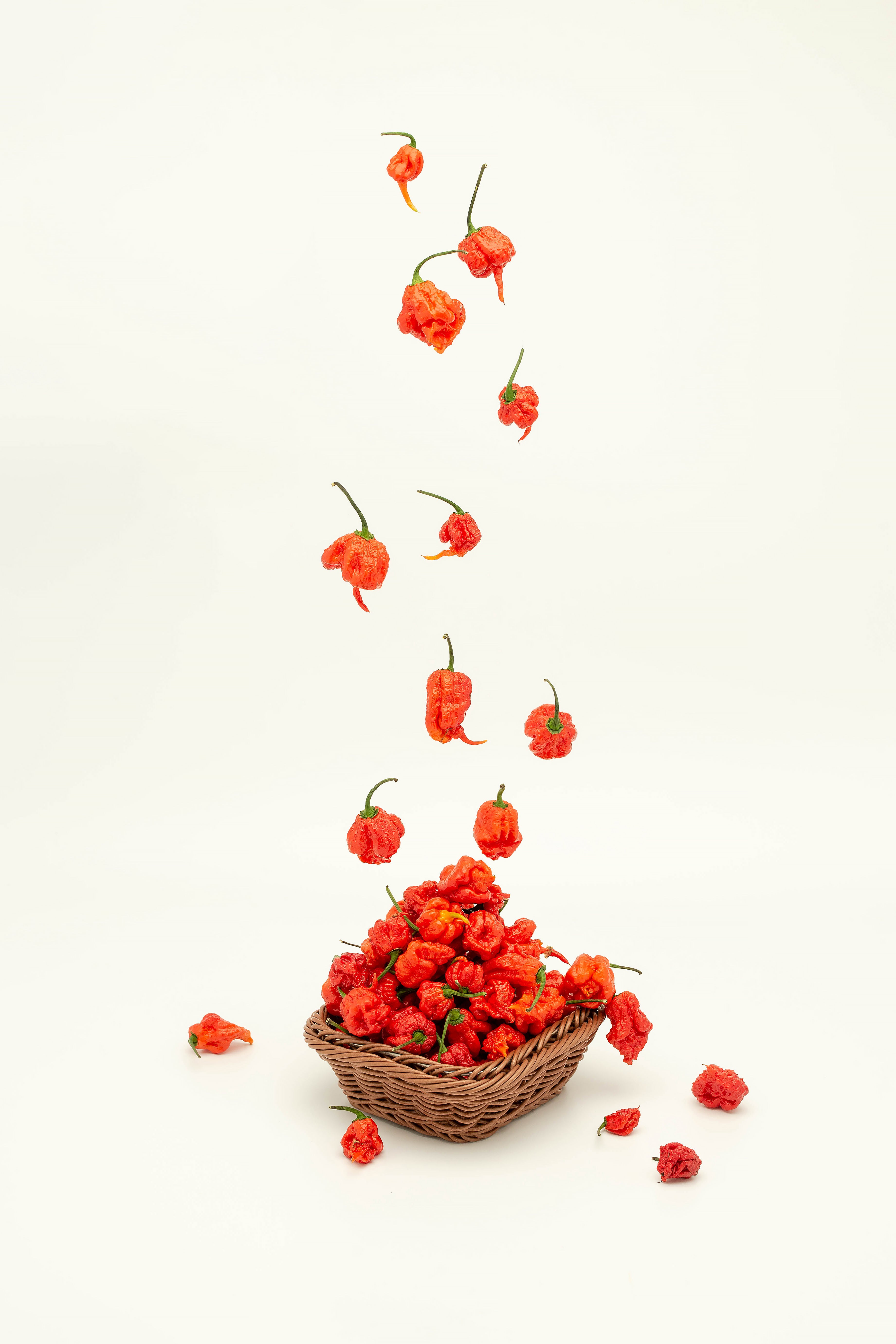 crescator de ardei carolina reaper