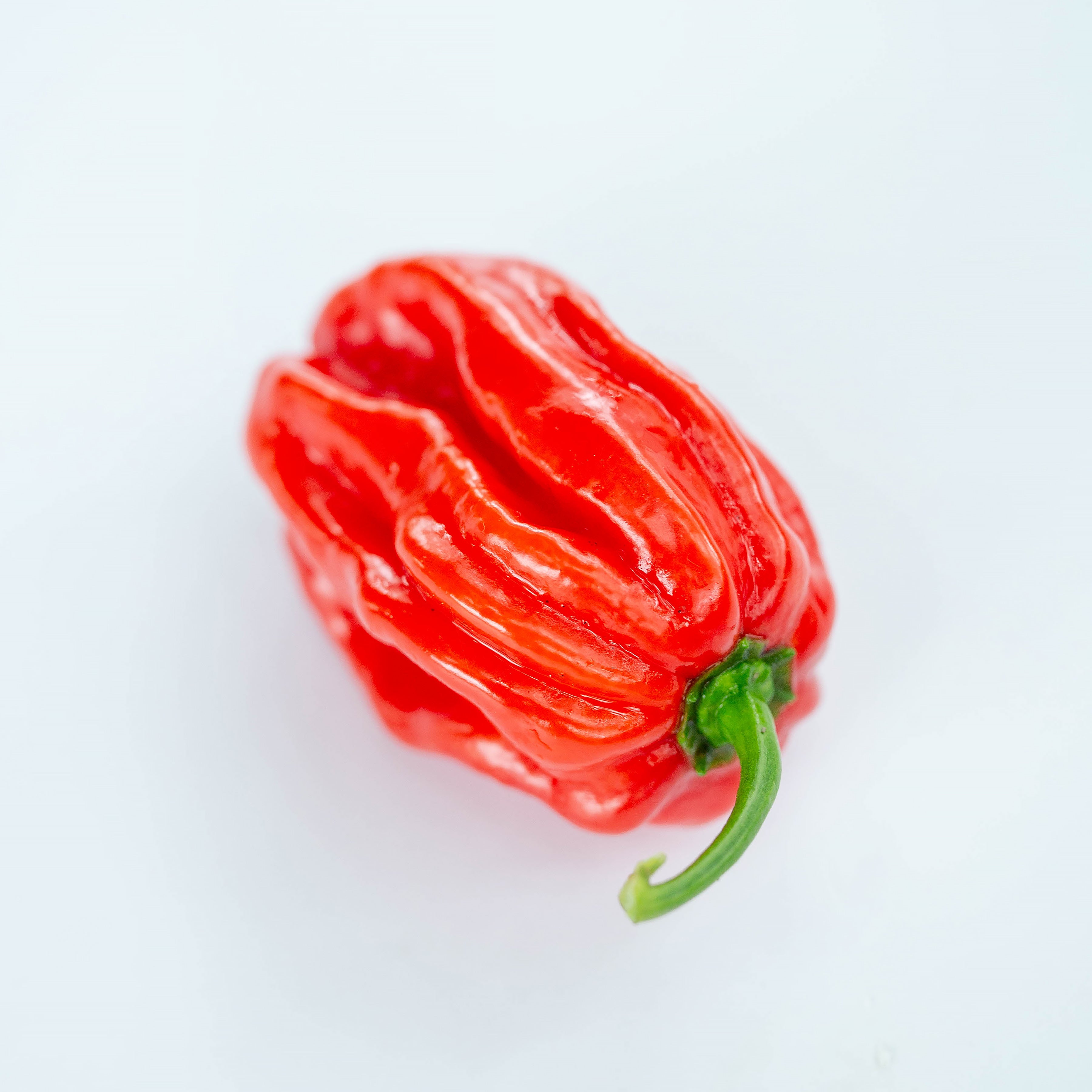 Ardei - Habanero Red