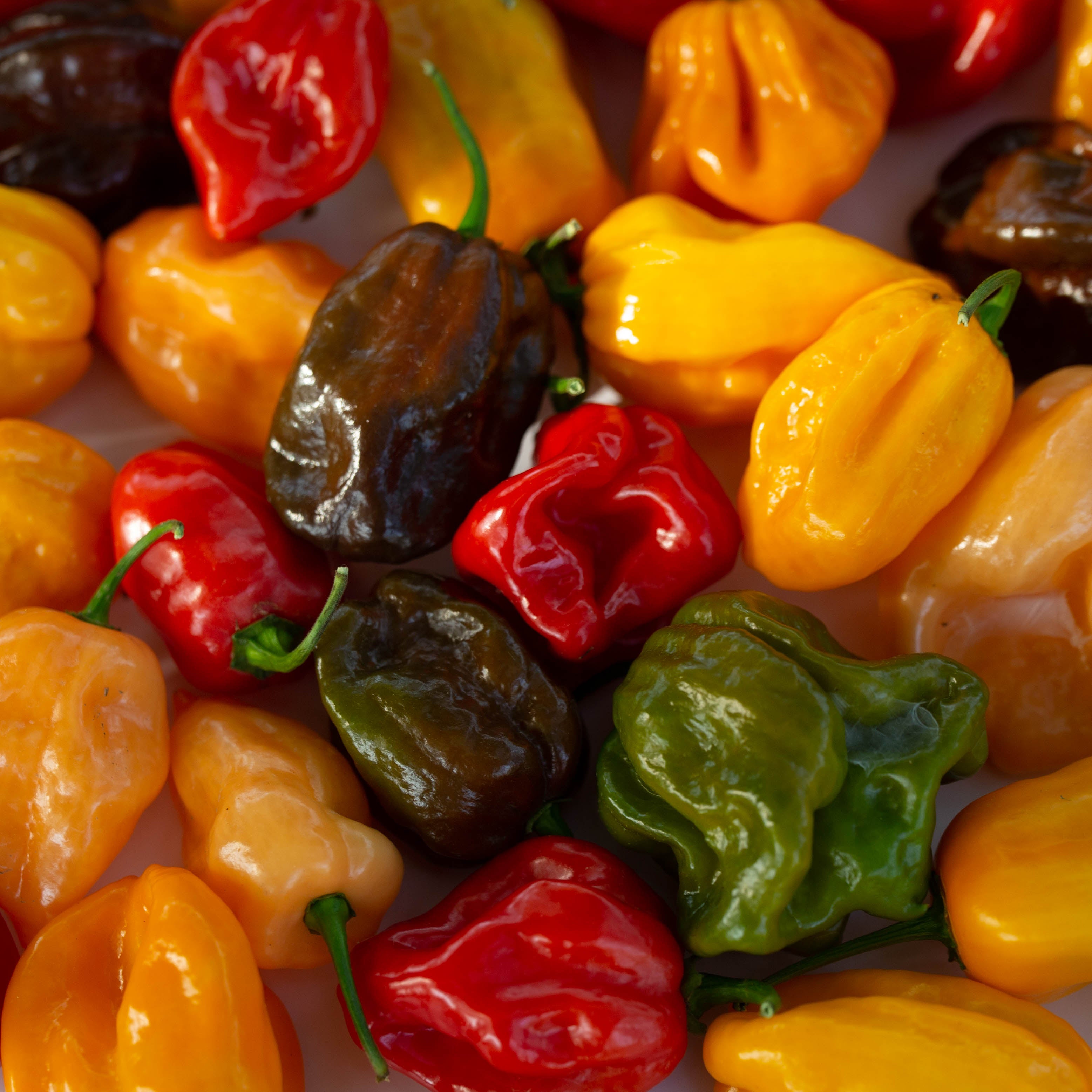 Mix ardei - Habannero "Hot Mix"