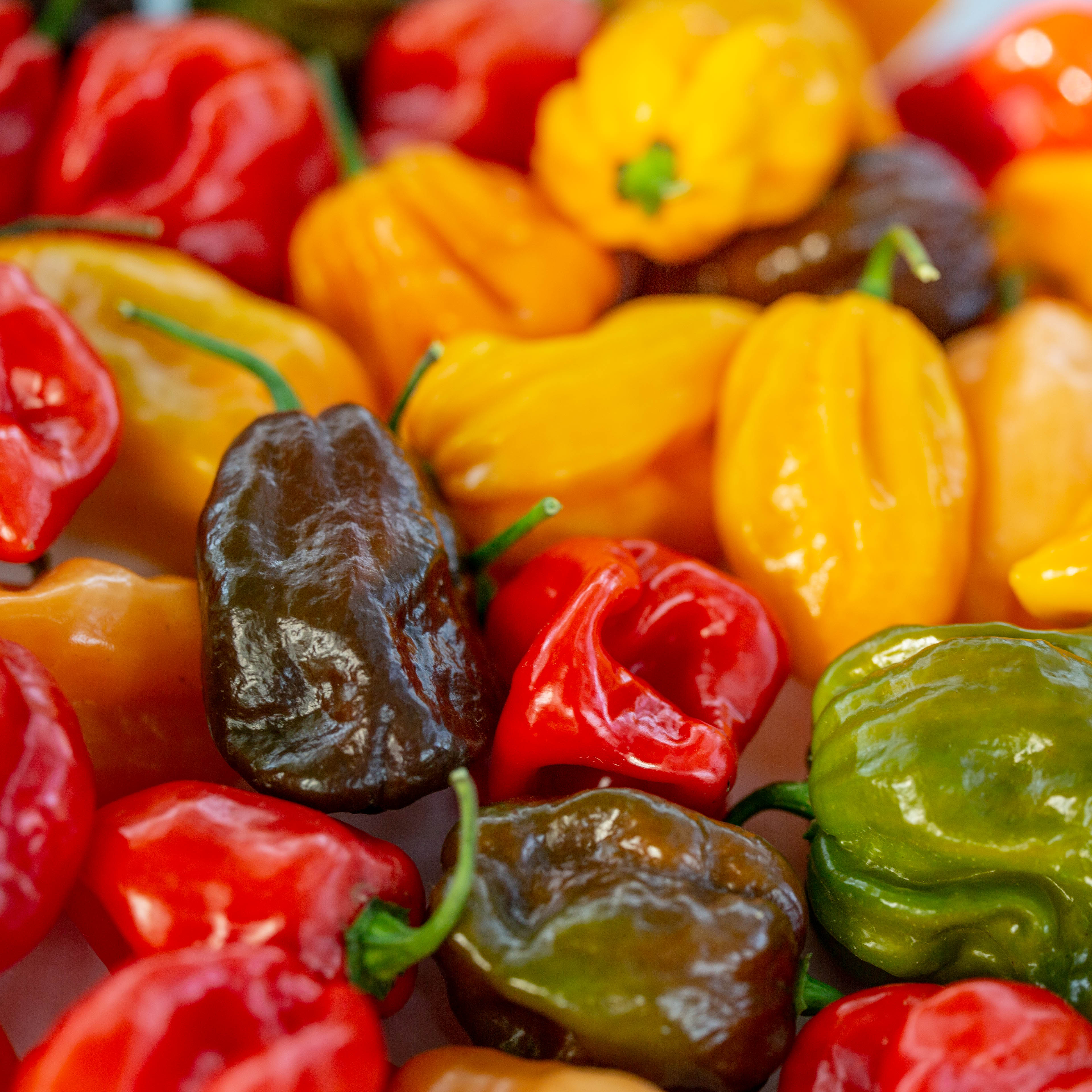 Mix ardei - Habannero "Hot Mix"