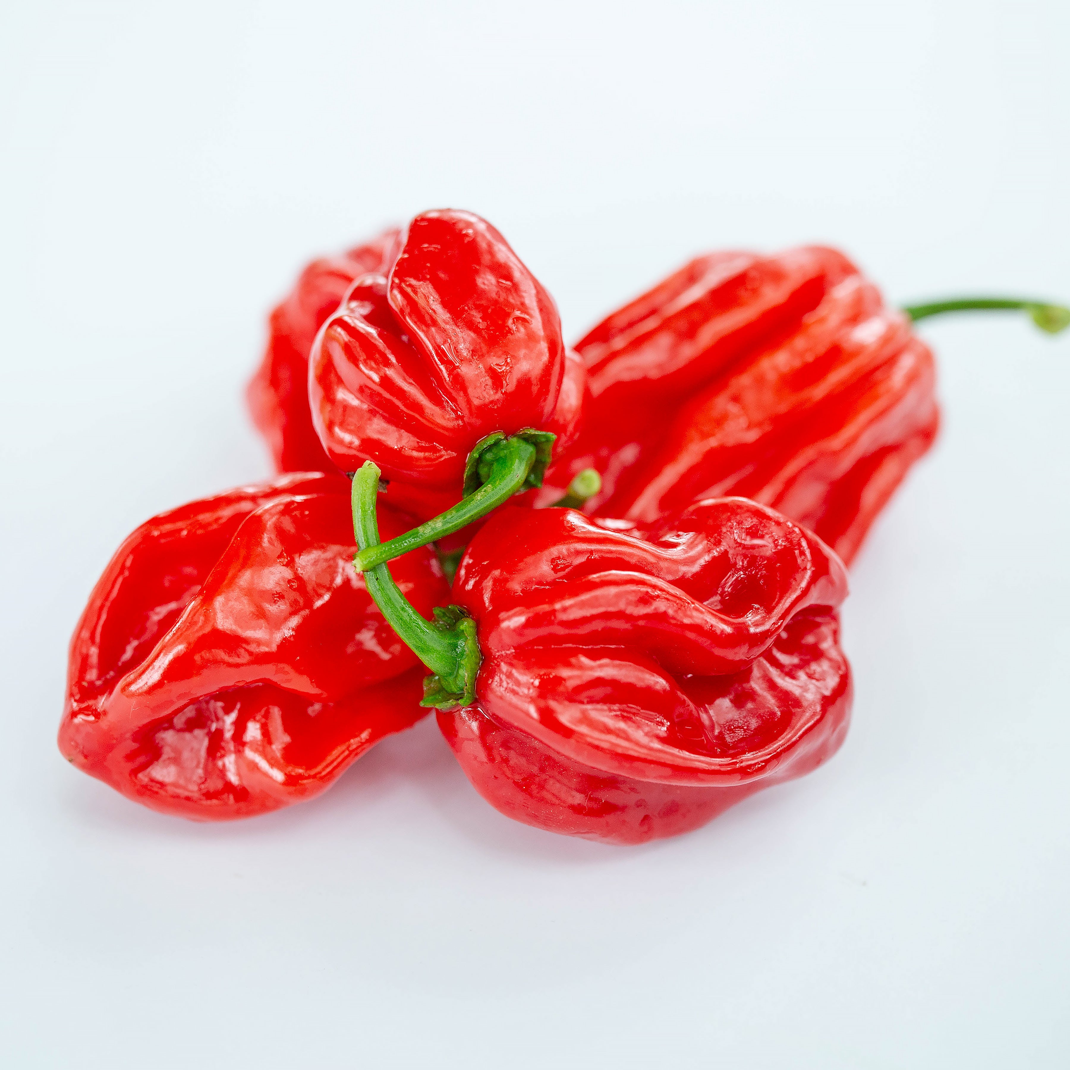 Ardei - Habanero Red